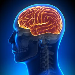 child neurologist in vijayawada