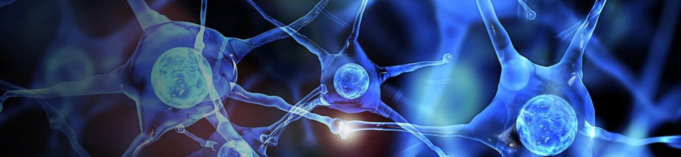 neurologist hospitals in vijayawada